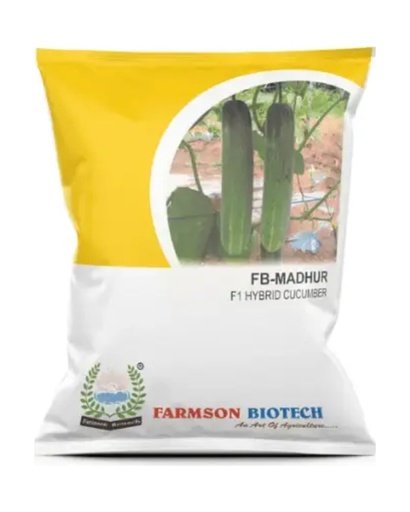 FSB-MADHUR F1 HYBRID CUCUMBER SEEDS