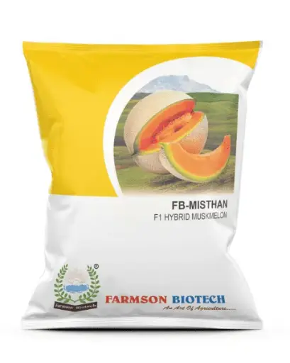 FB-MISTHAN F1 HYBRID MUSKMELON SEEDS