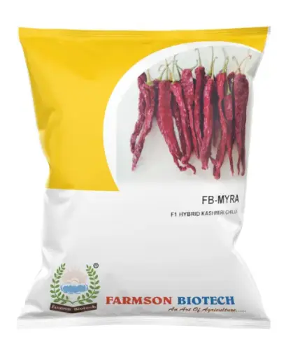 FB-MAYRA (KASHMIRI CHILLI) F1 HYBRID CHILLI SEEDS