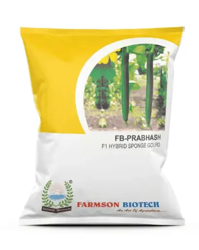 FB-PRABHAS F1 HYBRID SPONGE GOURD SEEDS