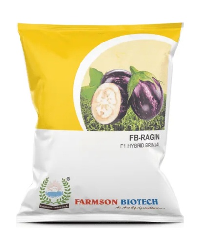 FB-RAGINI F1 HYBRID BRINJAL (EGGPLANT) SEEDS