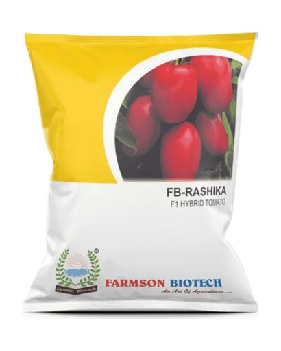 FB-RASHIKA F1 HYBRID TOMATO SEEDS