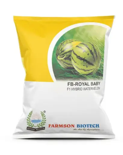 FB-ROYAL BABY F1 HYBRID WATERMELON SEEDS