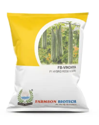 FB-VINDHYA F1 HYBRID RIDGE GOURD SEEDS