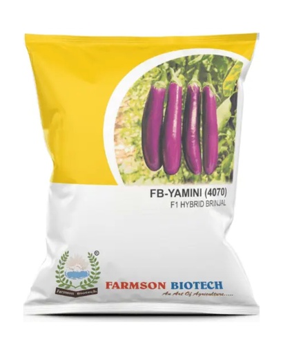 FB-YAMINI (4070) F1 HYBRID BRINJAL SEEDS