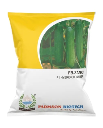 FB-ZANKI F1 HYBRID CUCUMBER SEEDS