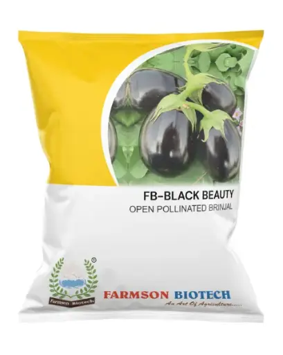 FB-BLACK BEAUTY (BB) BRINJAL (EGGPLANT) SEEDS