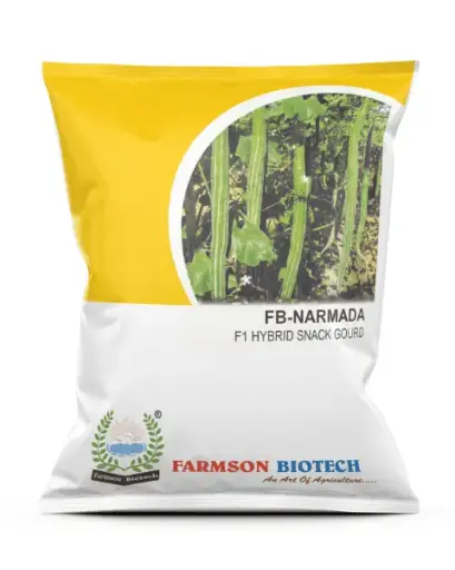 FB-NARMADA F1 HYBRID SNACK GOURD (LONG) SEEDS 