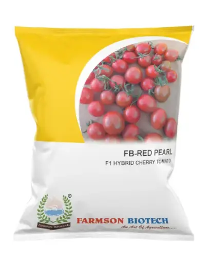 FB-RED PEARL (ROUND) F1 HYBRID CHERRY TOMATO SEEDS 
