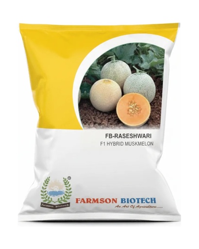FB-RASESHWARI F1 HYBRID MUSKMELON SEEDS