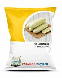 Cucumber