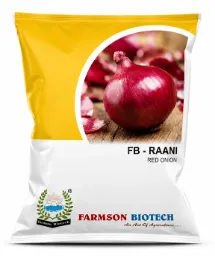 FB-RAANI ONION SEEDS (RED ONION)