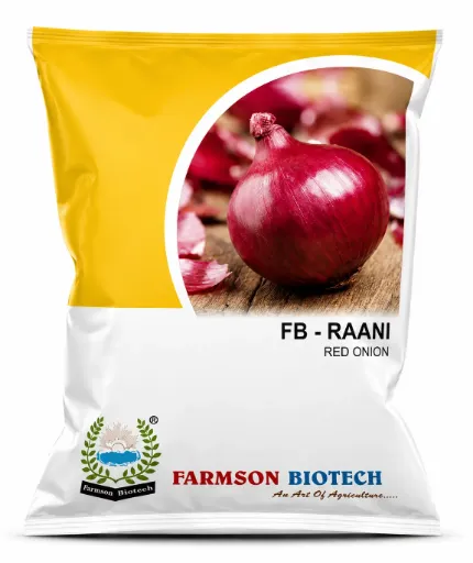 FB-RAANI ONION SEEDS (RED ONION)